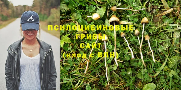 соль ск Абаза