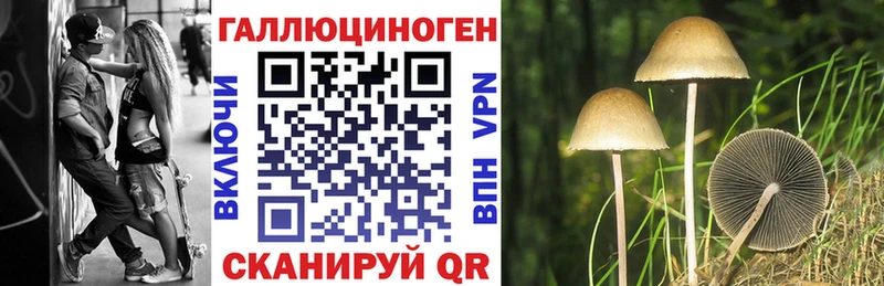 Галлюциногенные грибы GOLDEN TEACHER  наркотики  Скопин 